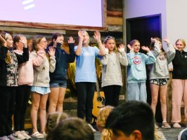 gallery image 14